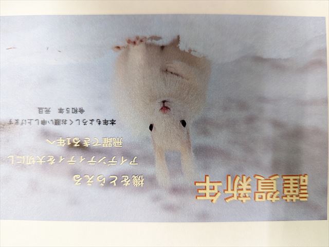 2023年　新年のご挨拶
